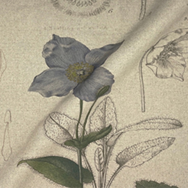 Fabric: RHS Collection - Lilian Snelling Design: Bulbs Linen