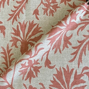 RHS Collection - Gertrude Jekyll Meadow Flower: Terracotta