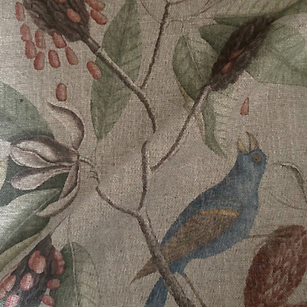 Fabric RHS Botanicals - Mark Catesby Grosbeak: Natural