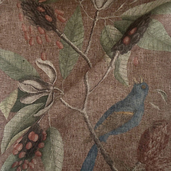 Fabric RHS Botanicals - Mark Catesby Grosbeak: Terracotta