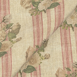 RHS Etta's Bouquet: Alba Rose