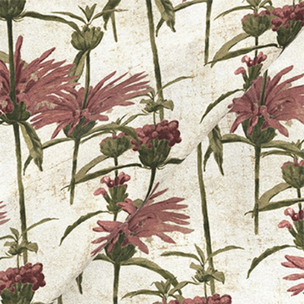 Exclusive Fabric RHS Botanicals on Velvet - Henry Moon Lion's Tail: Rose