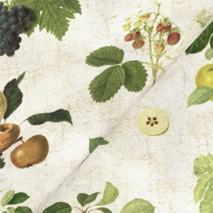 RHS Collection on Velvet - William Hooker Design: Fruit
