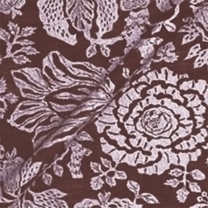 Spill Resistant V&A Flowering Kale: Cacao