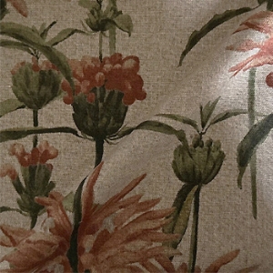 Spill Resistant RHS Henry Moon Lions Tail: Terracotta