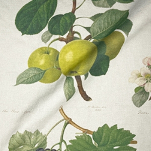 Spill Resistant RHS William Hooker Design: Fruit
