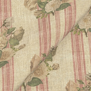 Spill Resistant RHS Etta's Bouquet: Alba Rose