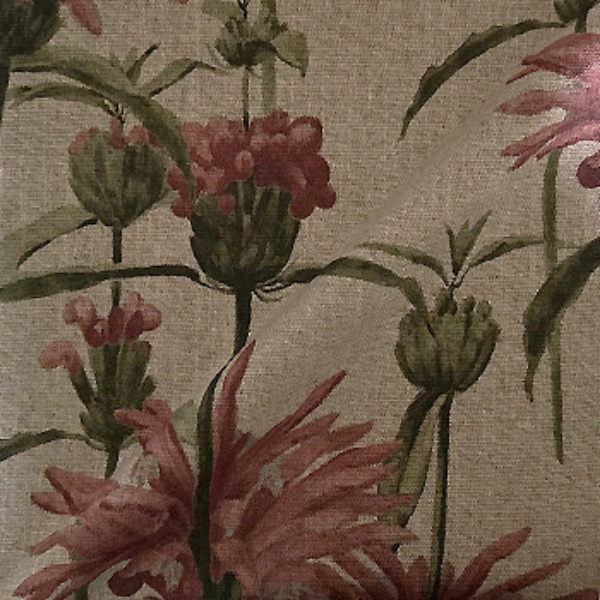 Spill Resistant RHS Henry Moon Lions Tail: Rose