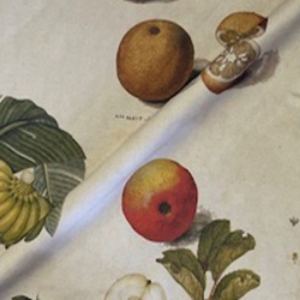 Spill Resistant V&A All Over Botanical Collage: Market Garden