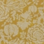 V&A Brompton Collection - Flowering Kale: Corn