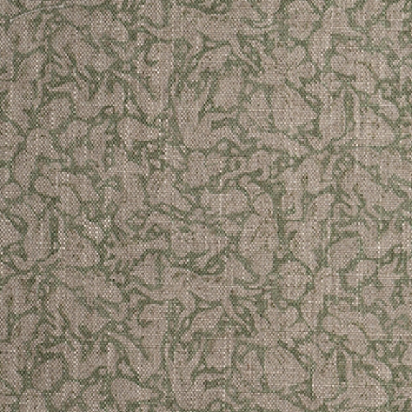Spill Resistant RHS Gertrude Jekyll Folklore: Olive