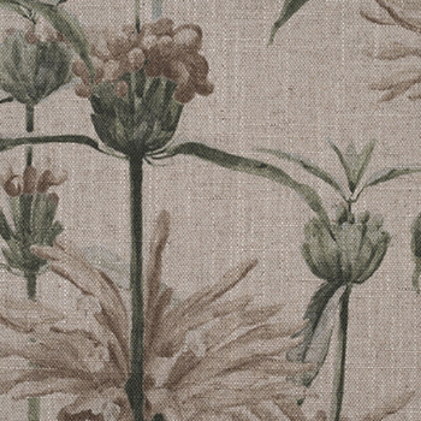 Spill Resistant RHS Henry Moon Lions Tail: Oatmeal