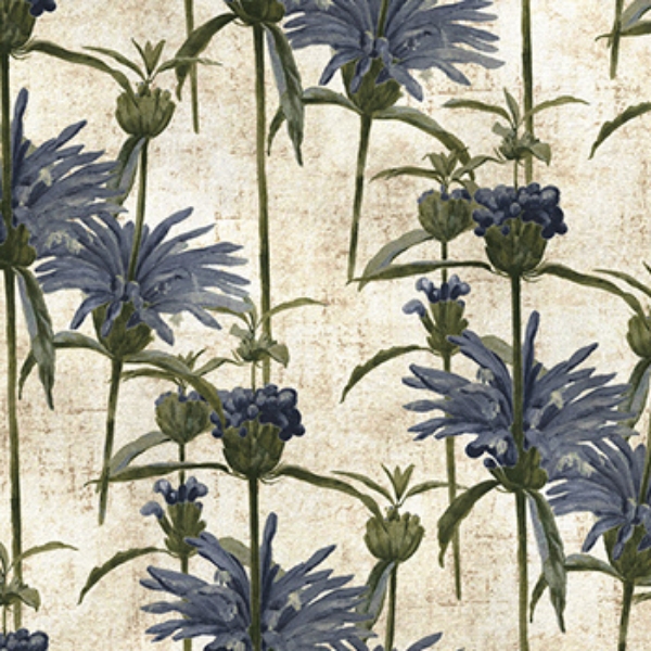 RHS Botanicals on Velvet - Henry Moon Lion's Tail: Cornflower