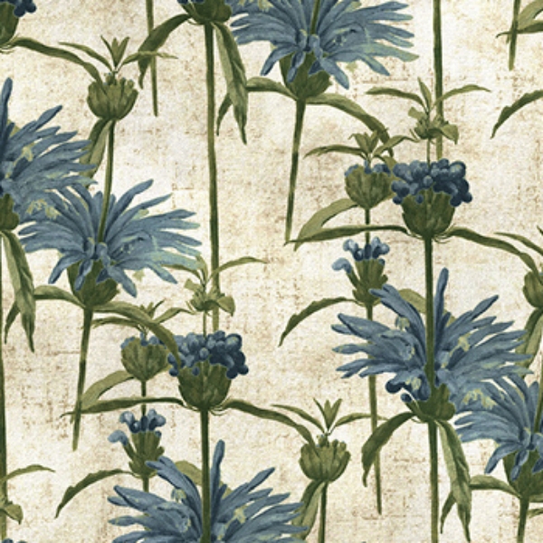 RHS Botanicals on Velvet - Henry Moon Lion's Tail: Capri