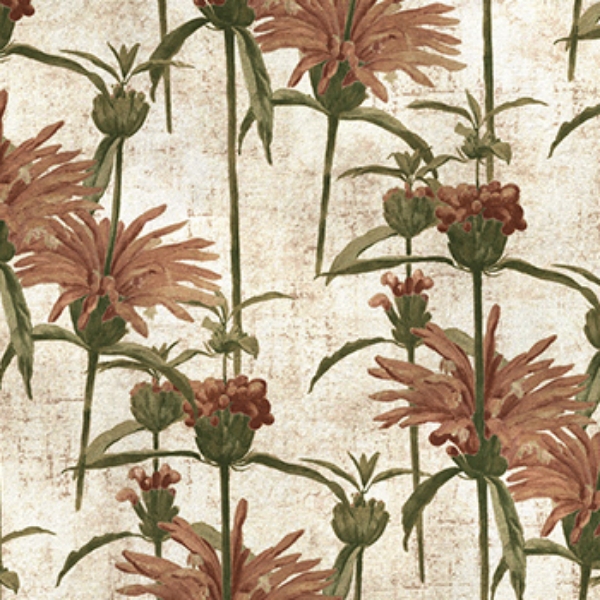 RHS Botanicals on Velvet - Henry Moon Lion's Tail: Blush