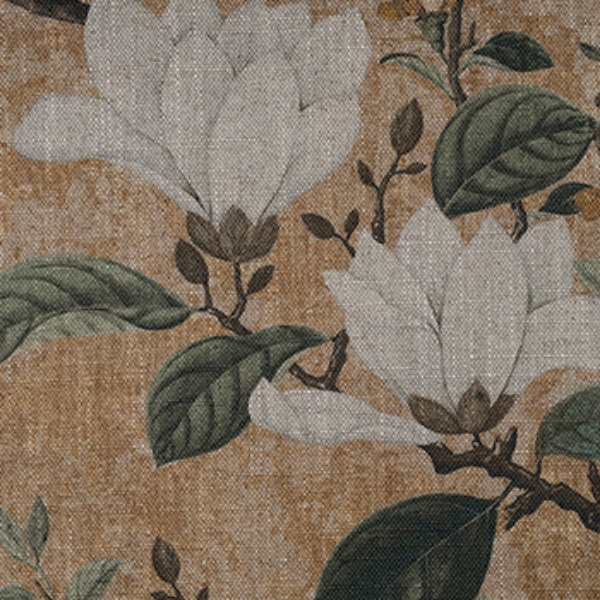 RHS Botanicals -  Plantae Japonicae: Corn