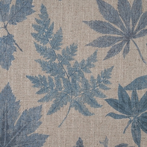 Spill Resistant RHS Foliage: Powder Blue