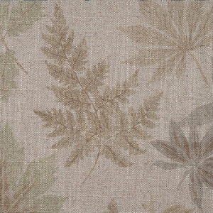 Spill Resistant RHS Foliage: Sage