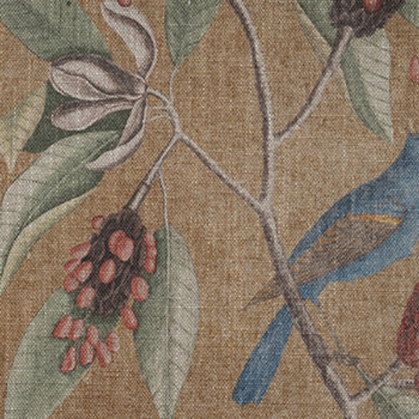 RHS Botanicals - Mark Catesby Grosbeak: Corn