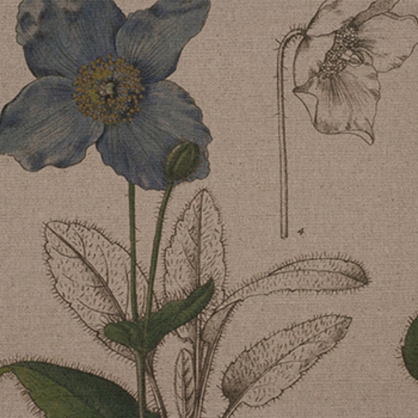 Spill Resistant RHS Lilian Snelling Design: Bulbs