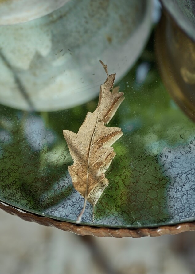 Oak leaf on green glass table