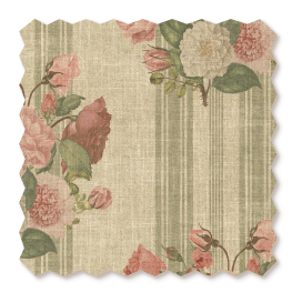 RHS Etta's Bouquet: Sunset Moss